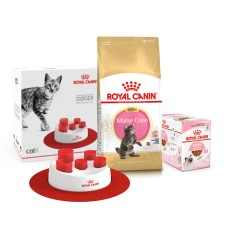 Корм для кошенят ROYAL CANIN MAINECOON KITTEN 2кг + Вологий корм INSTINCTIVE 12шт + інтерактивна годівниця