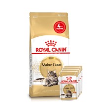 Корм для дорослих котів ROYAL CANIN MAINECOON ADULT 2кг + 4 паучі вологого корму у подарунок