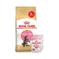 Корм для кошенят породи Мейн-Кун ROYAL CANIN MAINECOON KITTEN 2кг + 4 паучі вологого корму у подарунок