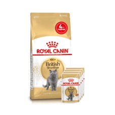 Корм для дорослих котів ROYAL CANIN BRITISH SHORTHAIR ADULT 2кг + 4 паучі вологого корму у подарунок