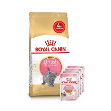 Корм для кошенят ROYAL CANIN KITTEN BRITISH SHORTHAIR 2кг +  4 паучі вологого корму у подарунок