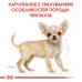 Корм для цуценят породи Чихуахуа ROYAL CANIN CHIHUAHUA PUPPY 0.5 кг