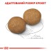 Корм для дорослих собак середніх порід ROYAL CANIN MEDIUM ADULT 15 кг