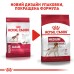 Корм для дорослих собак середніх порід ROYAL CANIN MEDIUM ADULT 15 кг