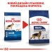 Корм для дорослих собак ROYAL CANIN MAXI ADULT 4.0 кг