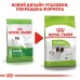 Сухий корм для дорослих собак дрібних порід ROYAL CANIN XSMALL ADULT 0.5 кг