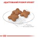 Корм для дорослих собак ROYAL CANIN MINI ADULT 4.0 кг
