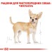Корм для дорослих собак породи Чихуахуа ROYAL CANIN CHIHUAHUA ADULT 0.5 кг
