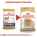 Корм для дорослих собак ROYAL CANIN CHIHUAHUA ADULT 1.5 кг