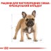Корм для дорослих собак ROYAL CANIN FRENCH BULLDOG ADULT 1.5 кг