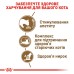 Корм для зрілих домашніх котів ROYAL CANIN AGEING 12+(від 12 років) 2.0 кг