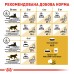 Корм для дорослих котів породи Сфінкс ROYAL CANIN SPHYNX ADULT 10.0 кг
