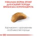 Корм для кошенят породи Британська короткошерста ROYAL CANIN KITTEN BRITISH SHORTHAIR 0.4 кг