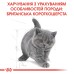 Корм для кошенят ROYAL CANIN KITTEN BRITISH SHORTHAIR 2.0 кг