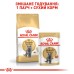 Корм для дорослих котів ROYAL CANIN BRITISH SHORTHAIR ADULT 2.0 кг