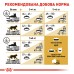 Корм для дорослих котів ROYAL CANIN BRITISH SHORTHAIR ADULT 2.0 кг