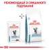 Вологий корм для дорослих котів ROYAL CANIN SKIN&COAT CAT 0.085 кг