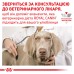 Вологий корм для дорослих собак ROYAL CANIN RECOVERY  0.195 кг x 12 шт.