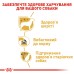 Корм для дорослих собак породи Йоркширський-тер'єр ROYAL CANIN YORKSHIRE ADULT 0.5 кг