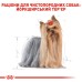 Вологий корм для дорослих собак ROYAL CANIN YORKSHIRE ADULT 0.085 кг