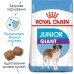 Корм для молодих собак гігантських порід ROYAL CANIN GIANT JUNIOR (джуніор) 15.0 кг