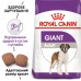 Корм для дорослих собак гігантських порід ROYAL CANIN GIANT ADULT 15.0 кг
