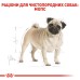 Корм для дорослих собак ROYAL CANIN PUG ADULT 3.0 кг