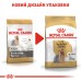 Корм для дорослих собак ROYAL CANIN YORKSHIRE ADULT 1.5 кг