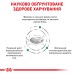 Корм для дорослих котів ROYAL CANIN DIABETIC CAT 0.4 кг
