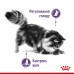 Корм для дорослих стерилізованих котів ROYAL CANIN APPETITE CONTROL CARE 2.0 кг