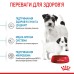 Cухий корм для новонароджених цуценят мініютюрних порід ROYAL CANIN MINI STARTER 1 кг