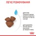 Cухий корм для новонароджених цуценят мініютюрних порід ROYAL CANIN MINI STARTER 1 кг