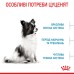 Корм для цуценят ROYAL CANIN XSMALL PUPPY 1.5 кг