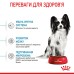 Корм для цуценят ROYAL CANIN XSMALL PUPPY 3.0 кг