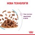 Вологий корм для дорослих котів ROYAL CANIN SENSORY FEEL GRAVY шматочки у соусі 85г, стимулює відчуття корму