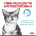 Вологий корм для дорослих котів ROYAL CANIN SENSORY FEEL JELLY шматочки у желе 85г, стимулює відчуття корму