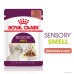 Вологий корм для дорослих котів ROYAL CANIN SENSORY SMELL GRAVY 0.085 кг, cтимулює нюхові рецептори