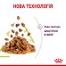 Вологий корм для дорослих котів ROYAL CANIN SENSORY SMELL JELLY 0.085 кг, стимулює нюхові рецептори