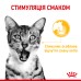 Вологий корм для дорослих котів ROYAL CANIN SENSORY TASTE JELLY 0.085 кг, шматочки у желе, cтимулює смак