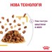 Вологий корм для дорослих котів ROYAL CANIN SENSORY TASTE JELLY 0.085 кг, шматочки у желе, cтимулює смак