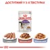 Вологий корм для дорослих стерилізованих котів ROYAL CANIN STERILISED IN JELLY 0.085 кг