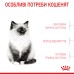 Корм для кошенят ROYAL CANIN KITTEN 2.0 кг