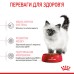 Корм для кошенят ROYAL CANIN KITTEN 2.0 кг