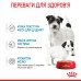 Вологий корм для новонароджених цуценят та собак у період лактації ROYAL CANIN STARTER MOUSE 0.195 кг