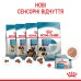 Вологий корм для новонароджених цуценят та собак у період лактації ROYAL CANIN STARTER MOUSE 0.195 кг