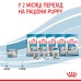 Вологий корм для новонароджених цуценят та собак у період лактації ROYAL CANIN STARTER MOUSE 0.195 кг