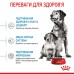 Корм для цуценят середніх порід ROYAL CANIN MEDIUM STARTER 1.0 кг