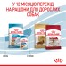 Корм для цуценят середніх порід ROYAL CANIN MEDIUM PUPPY 15.0 кг