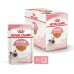 Вологий корм для кошенят ROYAL CANIN KITTEN IN JELLY 0.085 кг