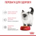 Вологий корм для кошенят ROYAL CANIN KITTEN IN JELLY 0.085 кг